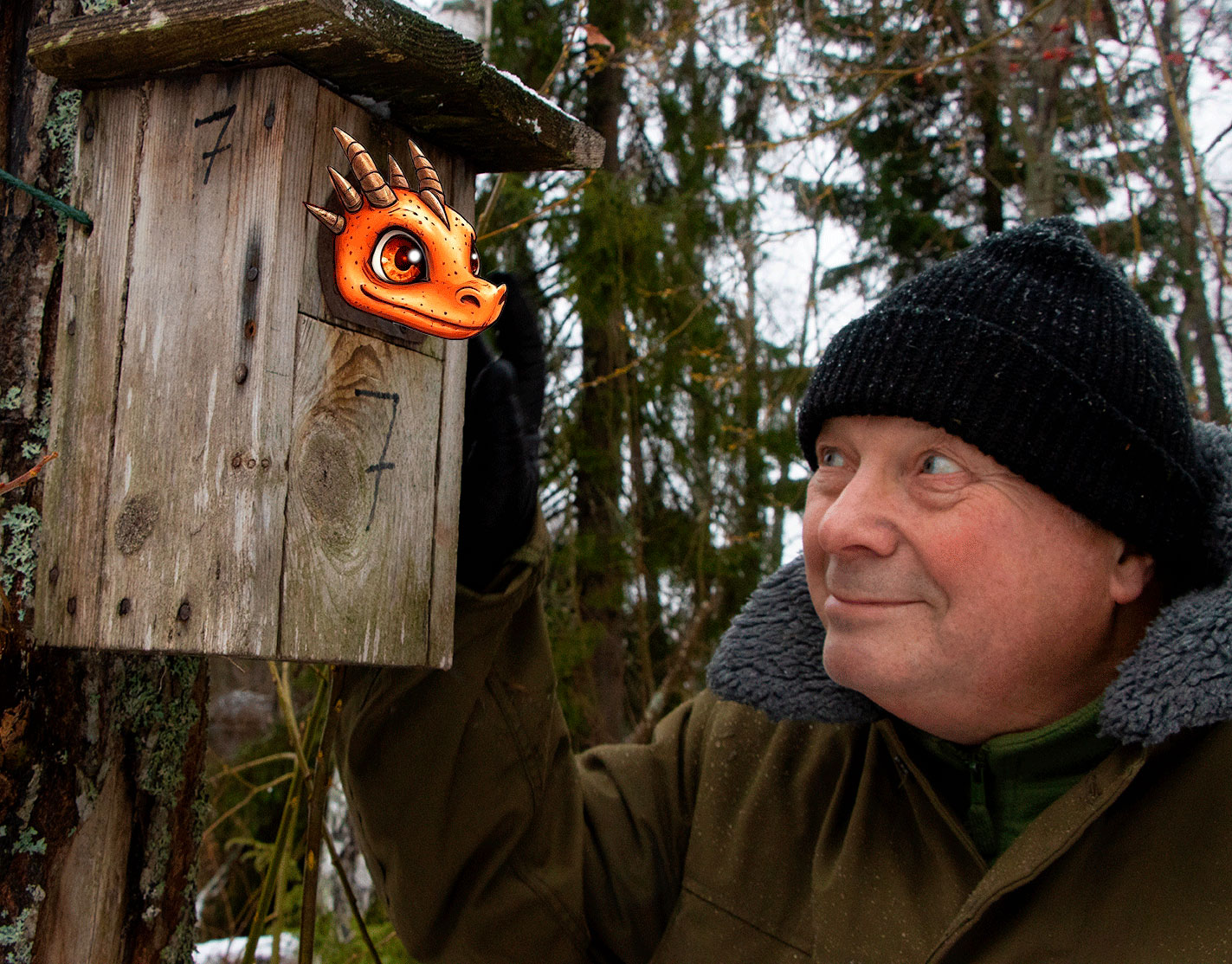 Fiktiivinen hahmo tarinoista Niilo lohikäärme kurkkaa linnunpötöstä mofalle.
